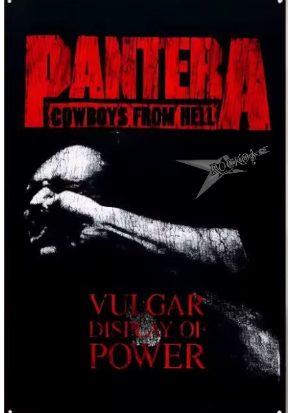 PANTERA (POSTER FLAG)